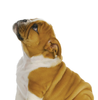 Smart Nature VET Weight Control & Joint Care 1,5kg odchudzanie psów