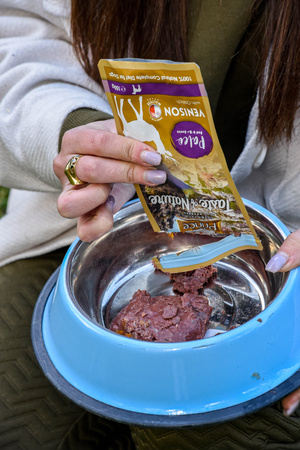 Prince Paleo Jeleń Brokuły Cukinia 150g mokra karma dla psa