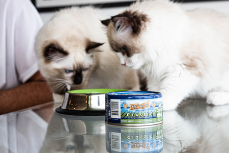 Princess Premium Hairball  Tauryna 70g mokra karma dla kota
