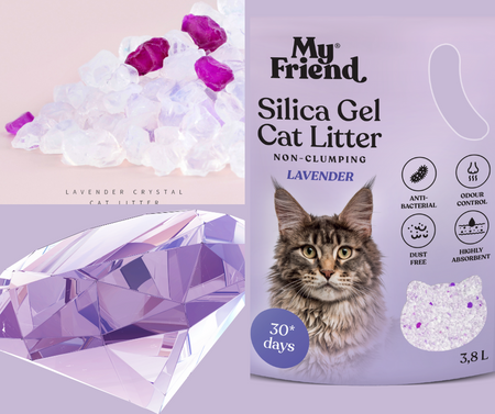 My Friend My Friend żwirek Silica Lavender 3,8lPakiet x8