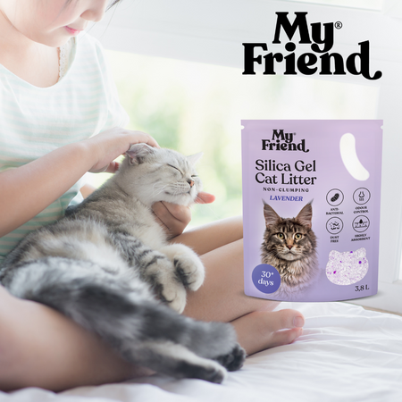 My Friend My Friend żwirek Silica Lavender 3,8lPakiet x2